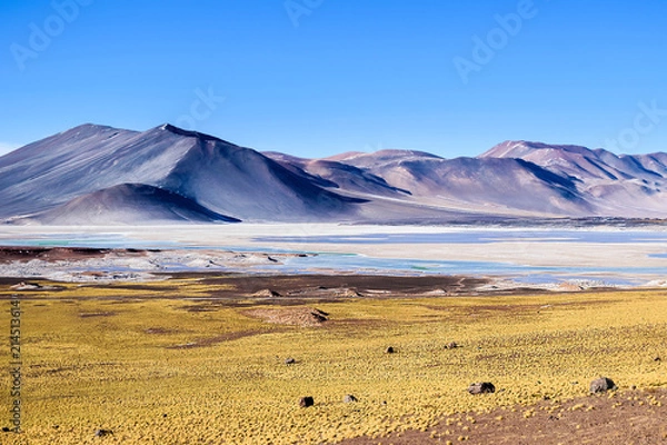 Obraz Salar aguas calientes, Atacama desert, San Pedro de Atacama, Chile.