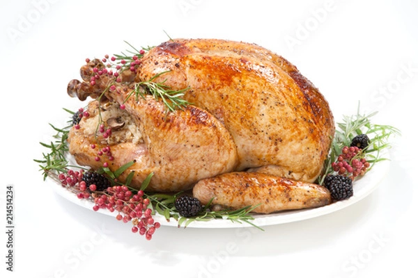 Obraz Thanksgiving Turkey on White