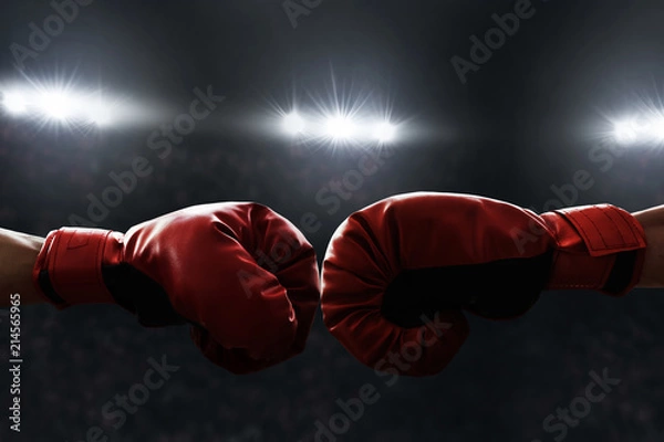 Fototapeta Two boxing gloves