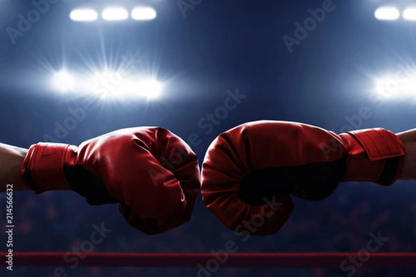 Fototapeta Two boxing gloves