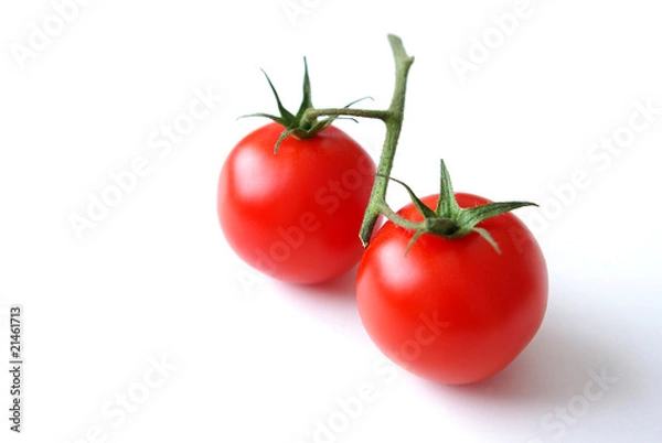Obraz Tomaten