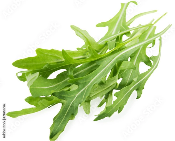 Obraz Rucola