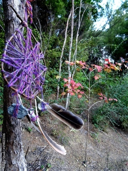 Fototapeta Dreamcatcher