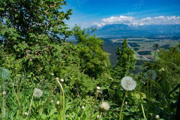 Obraz Mountain Views
