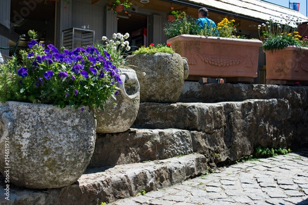 Obraz Flower Pots on Stairs