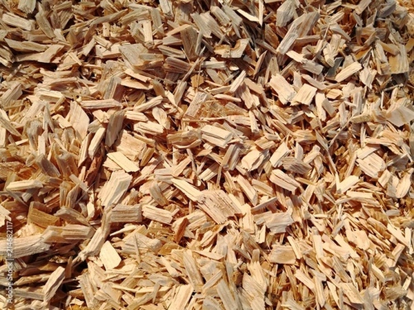 Fototapeta Rindenmulch auf Weg im Garten 