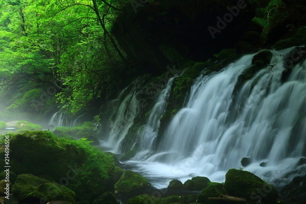 Fototapeta 夏の元滝伏流水