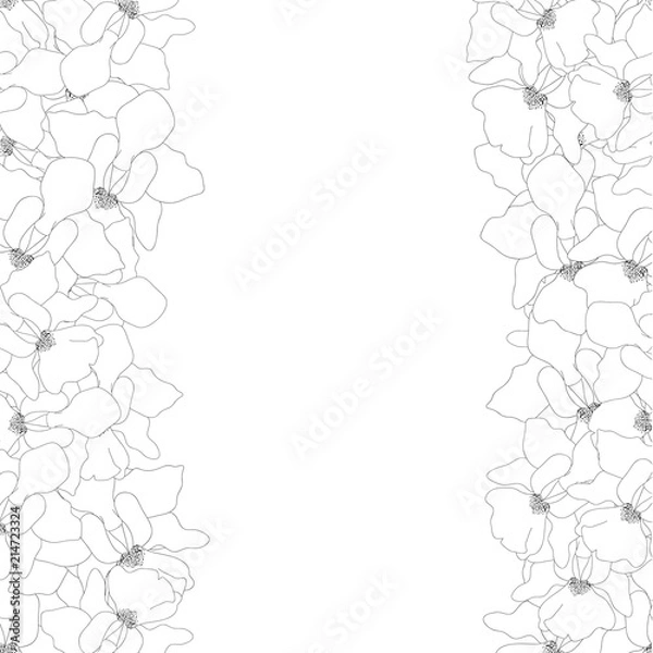 Fototapeta Vanda Miss Joaquim Orchid Outline Border