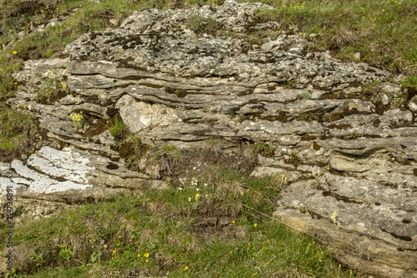 Fototapeta Stone texture - details,  background and texture image