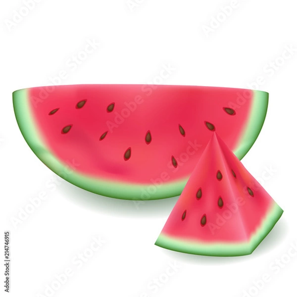 Fototapeta Vector realistic watermelon slice. Juicy and colorful summer fruit. Isolated element on white background. Used meshes