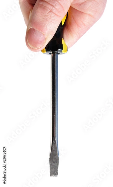Obraz Hand Holding Screwdriver