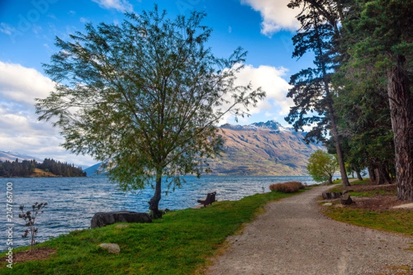 Obraz wanaka park 