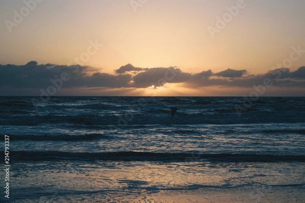 Obraz Majestic Setting