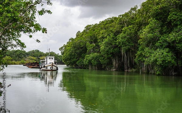 Obraz River Boat, Belize