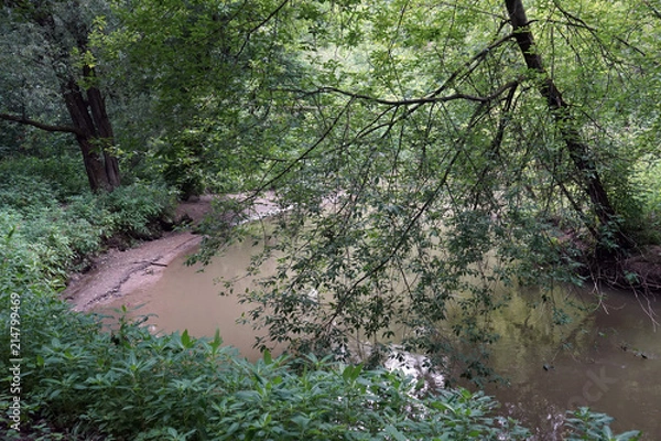 Fototapeta Setun river