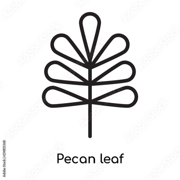 Fototapeta Pecan leaf icon vector sign and symbol isolated on white background, Pecan leaf logo concept