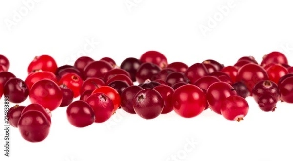 Fototapeta Cranberries