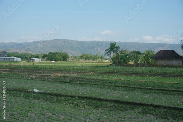 Obraz House Hill And Farm