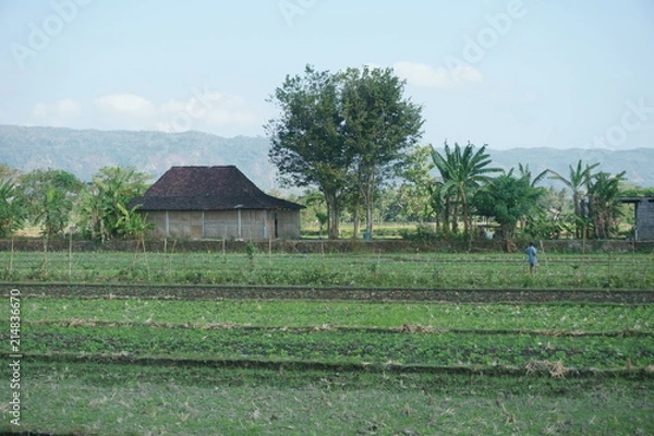 Obraz House Sky And Farm