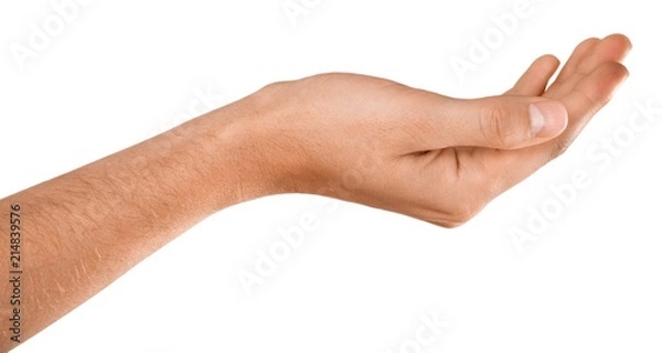 Fototapeta Empty Open Hand