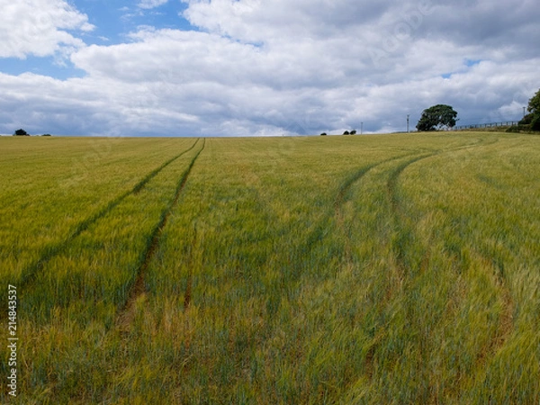 Obraz Diverging Paths