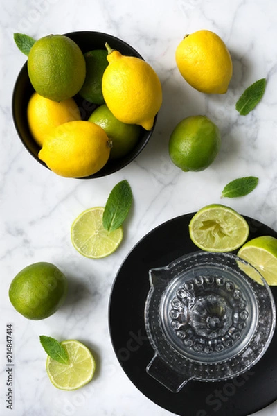 Obraz Lemons and limes ready to be squeezed