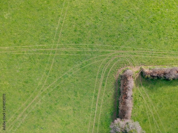 Obraz Tracks in field