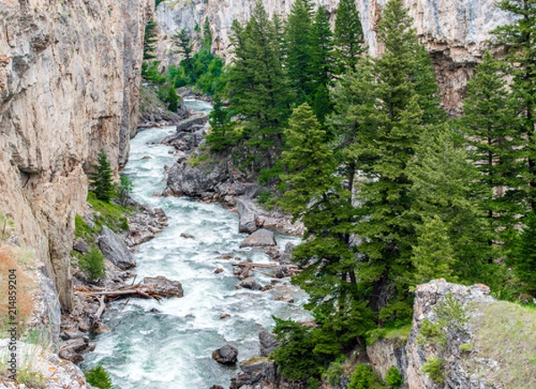 Fototapeta scenic Boulder River running through a steep rocky canyon  full of lush pine trees near Bozeman, Montana
