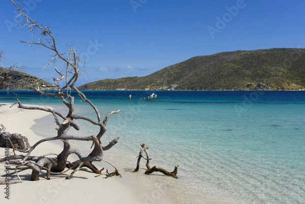 Obraz The beach in BVI