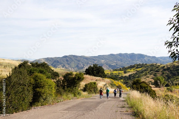 Obraz A secluded strech of paved road during a hike in Irvine Open Space Park in Southern California