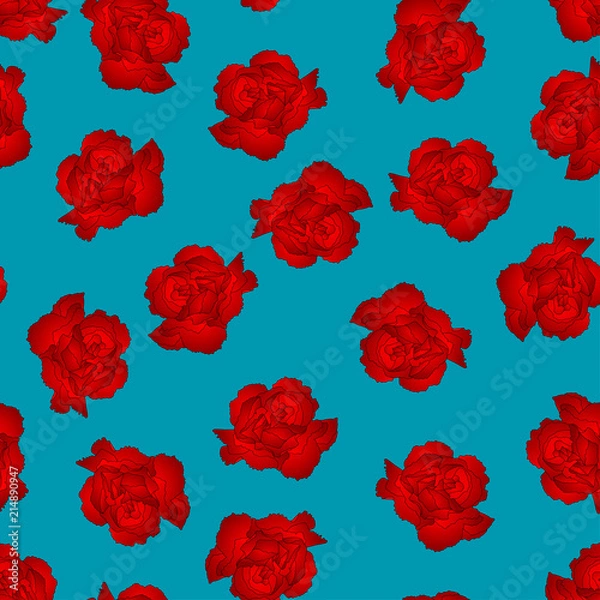 Fototapeta Red Carnation Flower on Blue Background