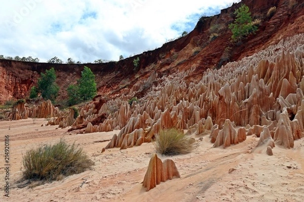 Obraz Tsingy Rouge auf Madagaskar