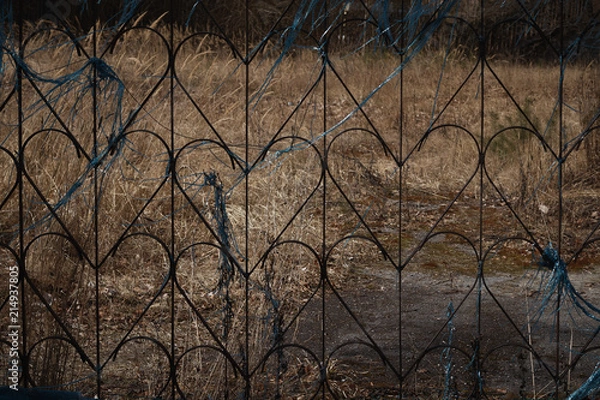 Obraz Old metal fence .