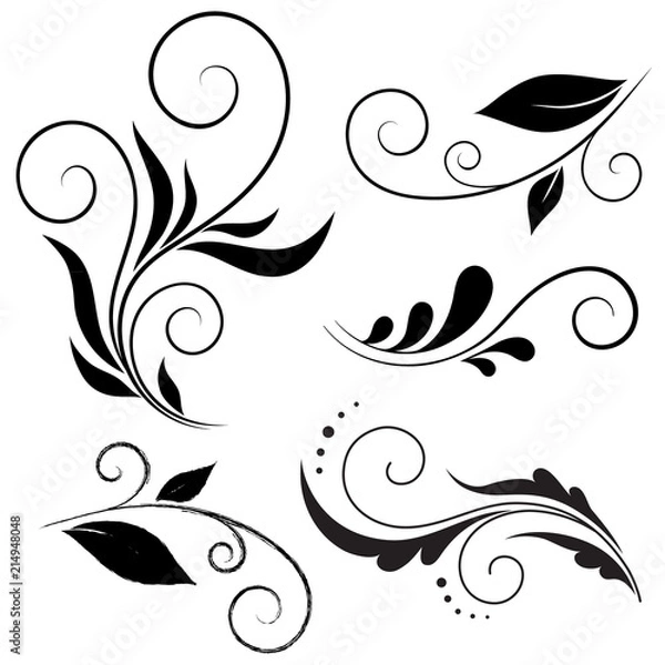 Fototapeta Calligraphic design elements, Vector set