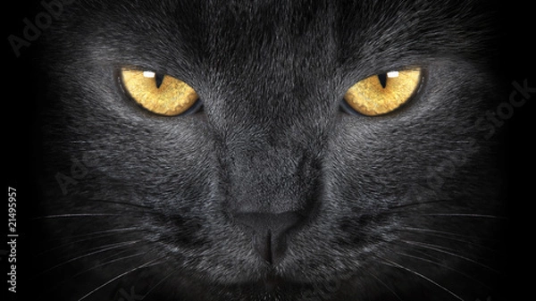 Fototapeta OLYMPUS DIGITAL CAMERA