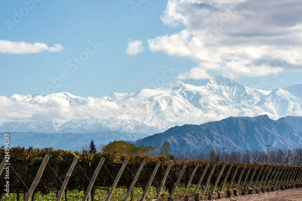 Fototapeta Wczesnym rankiem późną jesienią: Volcano Aconcagua Cordillera i Vineyard. Andy w argentyńskiej prowincji Mendoza