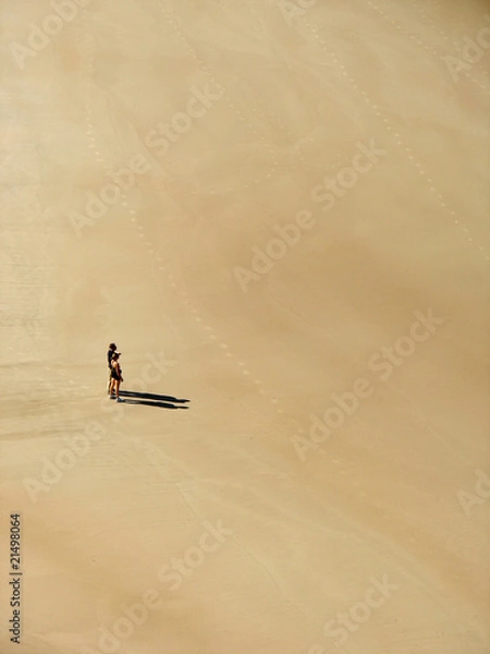 Obraz Couple face au désert