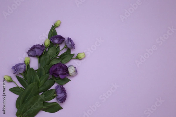 Fototapeta Flower Pattern Top View On Color Paper For Background