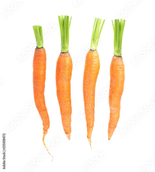 Obraz fresh carrots on white background