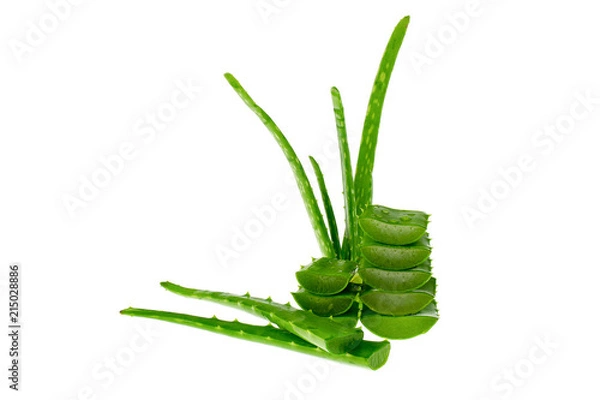 Obraz Aloe vera slice on white background.