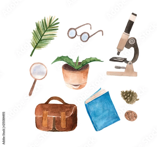 Obraz Botanical elements