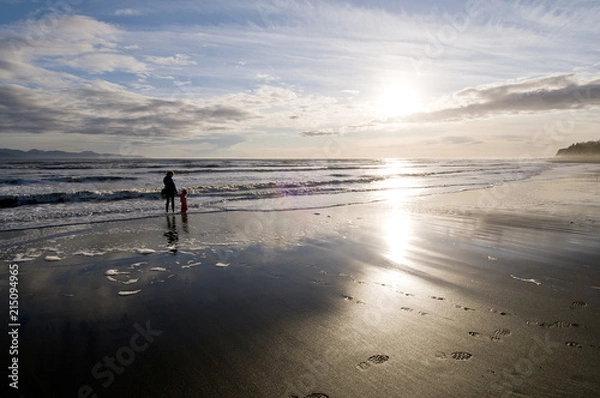 Obraz Bishops Beach, Homer II