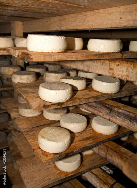 Obraz affinage de fromage