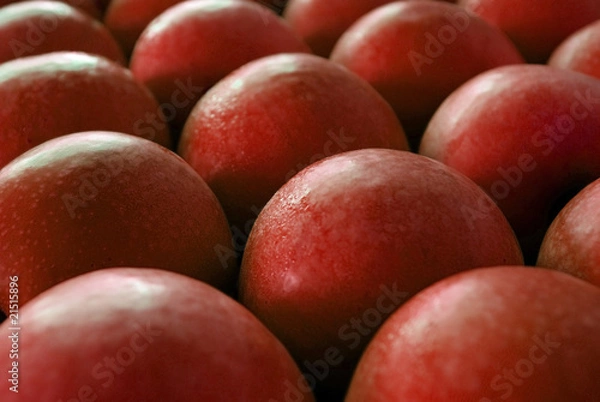 Obraz pommes rouges alignées