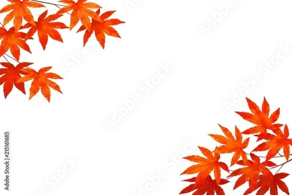 Obraz 秋イメージ　もみじ素材