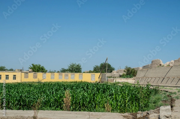 Fototapeta Khiva town, Uzbekistan