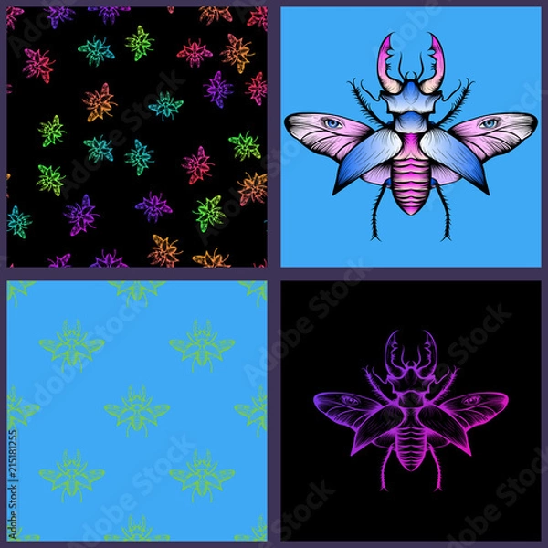 Fototapeta Set of four stag beetle drawings and seamless pattern backgrounds