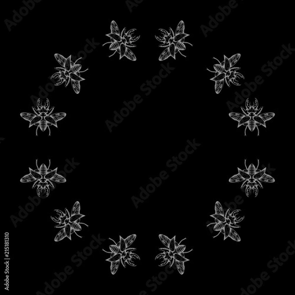 Fototapeta Circle of gray stag beetles on the black background