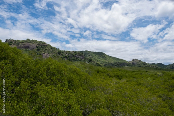 Obraz mountrain in Mangrove forest at Pranburi Forest National Park, Prachuap Khiri Khan, Thailand.