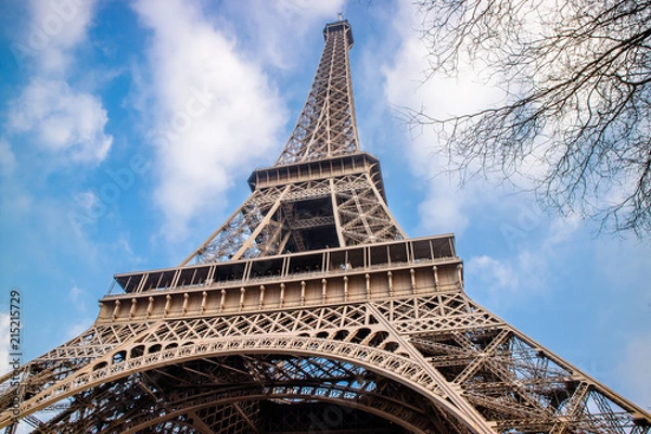 Fototapeta Eiffel Tower and its blue background in Paris